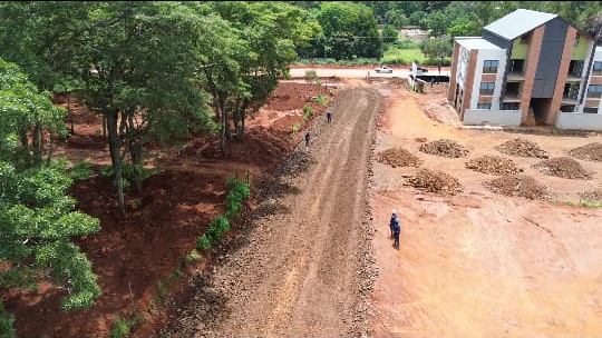 Newly formed gravel road set out by engineering survey, beside trees and an apartment block under construction in Glen Lorne